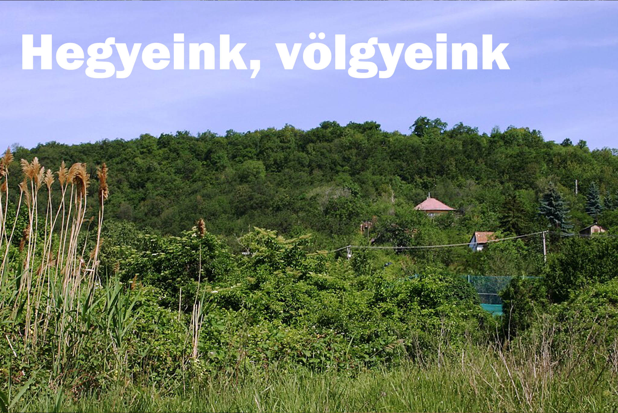 hegyeink